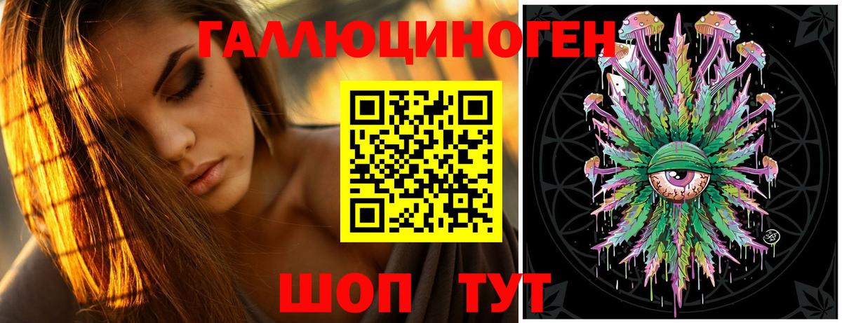 Королёв  сколько стоит  Вход с VPN  Псилоцибиновые грибы GOLDEN TEACHER 